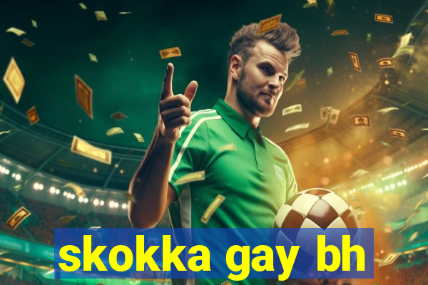 skokka gay bh